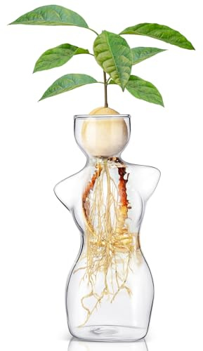Syzplnwy Vase avocat : verre borosilicate pour germination des graines et culture hydroponique, sans danger pour l'eau salée avec bords polis, décoration compacte pour maison/bureau (normal)