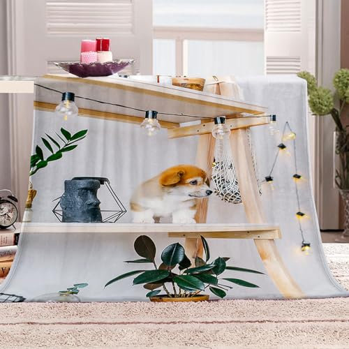 Wohnzimmerdecke 150 X 200 cm Kuscheldecke Flauschig Hund Tiere Winterdecke Decke Fleece