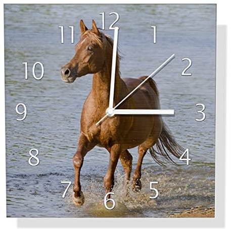 Wallario Design Wanduhr Braunes Pferd am Meer Araber am Wasser aus Aluverbund, Alu-Uhr Größe 30 x 30 cm, weiße Zeiger mit Metalloptik