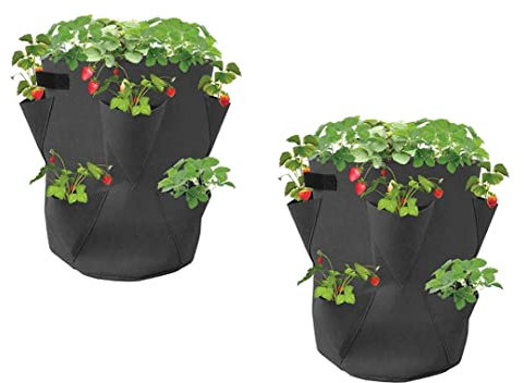 Dynamic24 2er Set Erdbeer-Pflanzsack Erdbeeren Pflanztopf Filzsack Filztopf Filz Balkon Terrasse Garten Pflanzsäcke Filzstoff Erdbeerpflanzen Säulentopf Set