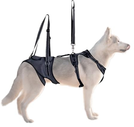 Harnais de levage pour chien – Harnais de soutien pour animaux | Gilet d'aide au transport | Équipement de rééducation pour animaux de compagnie | Réglable et multifonctionnel pour aider à la mobilité