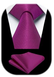 HISDERN Krawatten für Herren Klassische Hochzeit Krawatte mit Einstecktuch Set Formal Elegant Taschentuch Business Party