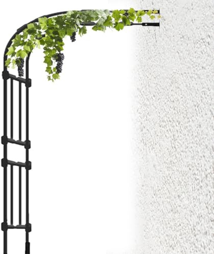 Arche de jardin en métal robuste pour plantes grimpantes - Résistante aux intempéries - Facile à assembler - Noir - 2,7 x 2,4 m - Treillis parfait pour les roses et les vignes - Décoration extérieure