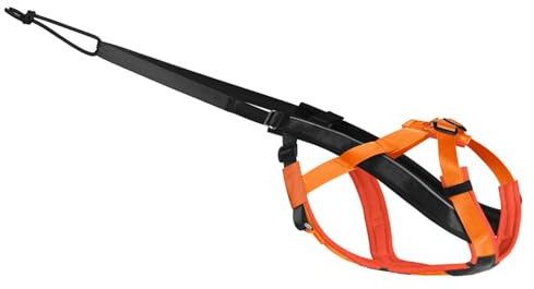 Zuggeschirr für Hunde, Hunde-Zuggeschirr, Verstellbarer Hundeschlitten für Verhaltenstraining, Gewichtheben, Canicross, Ski-Jöring, Orange