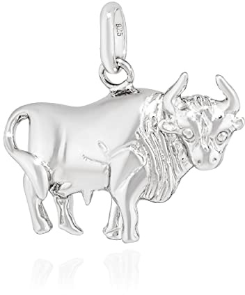 NKlaus Kettenanhänger Sternzeichen 925 Silber, 20x16mm, rhodiniert, 1 Stück | Ca. 1,55g