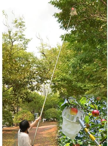 griffe de jardin pince telescopique Cueilleur D'arbres Fruitiers Avec Perche Et Panier, 2,5 3 4 5 6 M De Haut Cueilleur De Fruits Ajustable Outils De Cueillette Et De Ramassage Des Fruits Pour Légumes