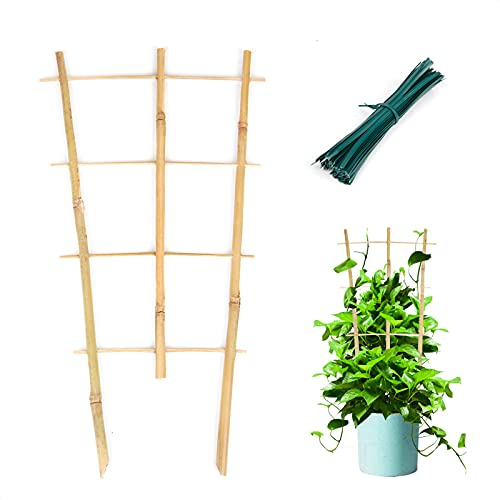 Cambaverd Pflanzen-Rankgitter für den Innenbereich, 3 Stück, Bambus-Spaliere, 40,6 cm, fächerförmiges Rankgitter für Topfpflanzen, Kletterpflanzen, Hoya-Rebe, Efeu