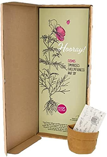 BloomPost Hooray! Cosmea Blume Samen Briefkasten Geschenkset