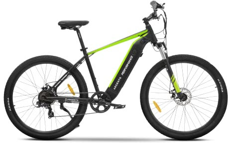 Argento Performance Mountain e-bike, Bici Elettrica, Batteria 468W, Motore 250W, Cambio Shimano 7 rapporti, Freni a Disco, Ruote 29