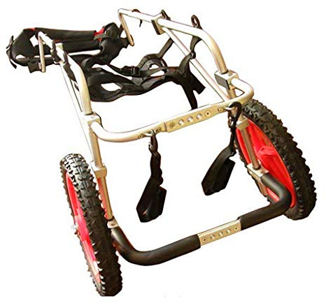 Trottinette réglable pour chien handicapé pour chiens handicapés Aide à la mobilité arrière Taille personnalisable (6 options) – Taille moyenne