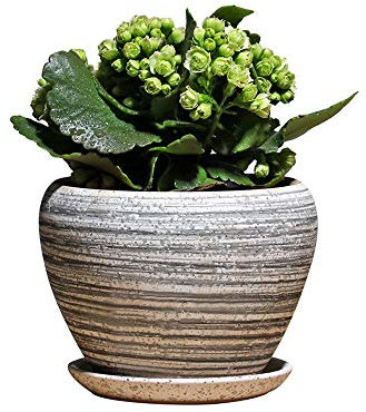 GImLY Keramik-Blumentopf Nordischer einfacher Steingut-Kaktus-Keramik-Topf Kreative Mode mit Tablett Fleischiger Blumentopf-Garten-Pflanzer-Heim-dekoratives Verzierungs-Handwerk (Color : Style 1)