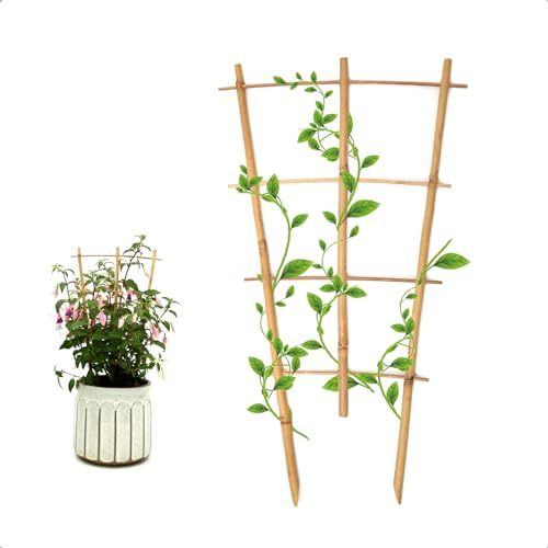 COLOtime Bambus-Spalier, 40,6 cm, fächerförmig, kleine Pflanzen-Rankgitter für Topfpflanzen, Kletterpflanzen, Monstera, Orchidee, Rebe, Hoya, Zimmerpflanze, 3 Stück