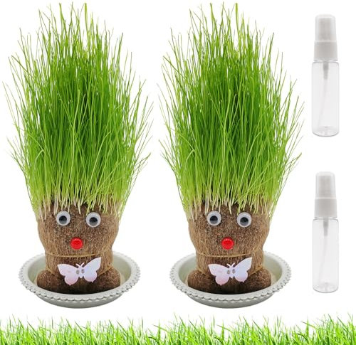 Poupée Tête d'Herbe Mini Bonsaï - 2 Plantes Grass Head avec Plateau (M3)