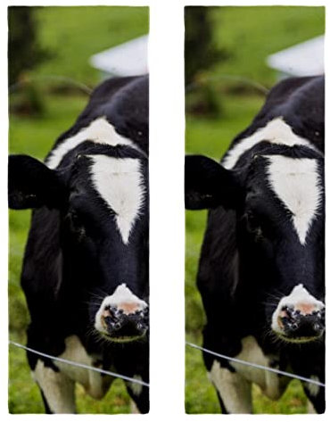 Paquete de 2 toallas de entrenamiento deportivas de microfibra de secado rápido, multiusos, vacas lecheras jóvenes, pastos verdes