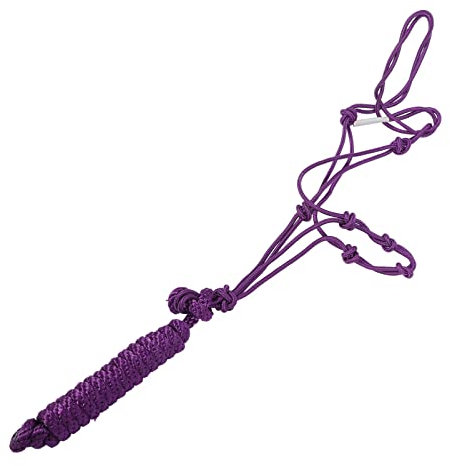 BESPORTBLE Reithalfter Pferdehalfter Zaumzeug Kopfstück Seil Für Pferdetraining Zufällig