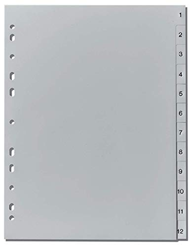 Herlitz 10843407 Register 1-12, 23 x 29,7 cm, PP, Eurolochung (20x 1-12)