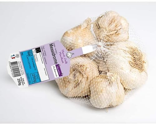 MESSIDROME Blanc Ail a repiquer 500 gr