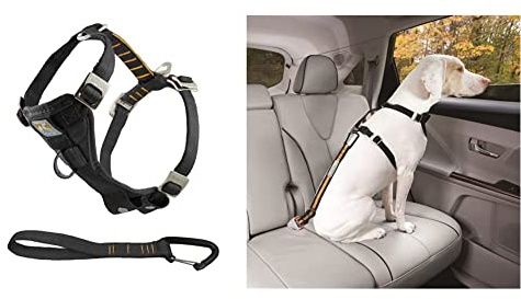 Kurgo TRU-Fit Hundegeschirr, Crash-Test-erprobtes Auto-Sicherheitsgurt, Für Hunde von 23 bis 36 kg, Größe L, Schwarz & Gurtschloss-Hundegurt fürs Auto, Kompatibel mit TRU-Fit Hundegeschirr, Orange