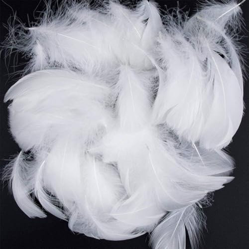 300 Stück Weiße Federn zum Basteln, Wachteleier Deko, Bastelfedern, 5–8 cm Natürliche Bastelfedern, Federn Basteln Weiß Für Traumfänger, Ohrring, DIY Basteln, Hochzeit Deko und Bastelarbeiten