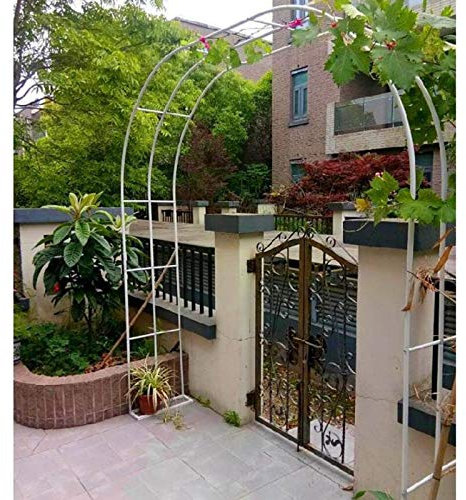 Arche de jardin en fer avec revêtement en poudre pour vignes et fleurs – Design classique pour patio, terrasse et jardin – Disponible en noir, blanc et vert