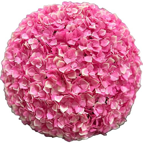 TENAX Hortensia Pink Bloom Ø 38 cm Rosa, Planta Artificial en Forma de Bola, Flor Tipo Hortensia, Esfera Decorativa para Decoración del Hogar y Jardín, Interior y Exterior
