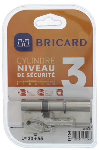 Bricard 17154 Cylindre débrayable Astral 2, 9 en Laiton Nickelé 10 Pistons, 2 entrées 30+55