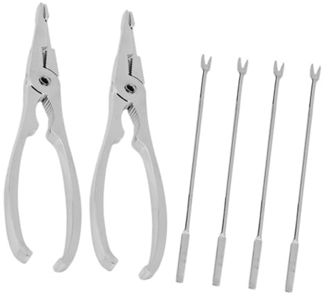 OHPHCALL Tenedor de Mariscos de Acero Inoxidable Plata, 6 Piezas | Juego 1 Set, Utensilio para Comer Diseño Práctico, Accesorios de Cocina para Servicio de Marisco