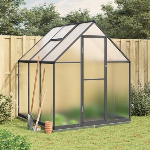 IKAYAA Gewächshaus mit Fundamentrahmen Gewächshaus Aluminium für den Garten Treibhaus Gartenhaus Winterfest Aufzucht Tomatenhaus Frühbeet und Pflanzenhaus-Anthrazit-169 x 169 x 202 cm