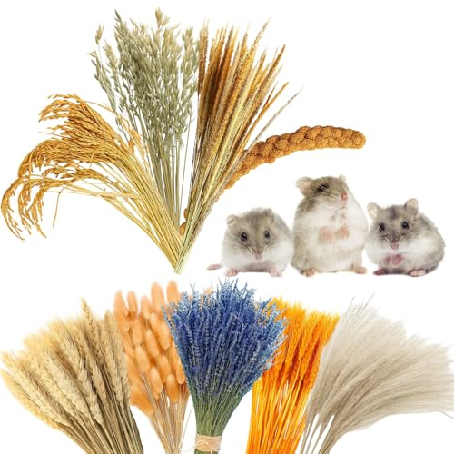 ZHLKHIOP 106 Pcs Hamster Straw, Natural Hamster Enrichment for Small Pets, DIY Habitat Decor, Chew Rice Straw for Dwarf Syrian Hamsters, Gerbils, Mice and Other Small Animals