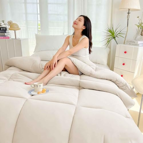 YWQJL Trapunta Invernale in Fibra di Soia, Piumone Invernale Spesso, Coperta Molto Calda E Super Morbida per 2 Persone, Trapunta in Microfibra, Piumone Trapuntato Reversibile(D,200X230cm/2kg)