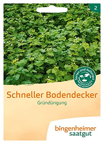 Bingenheimer Saatgut Schneller Bodendecker, Mischung Gründüngung
