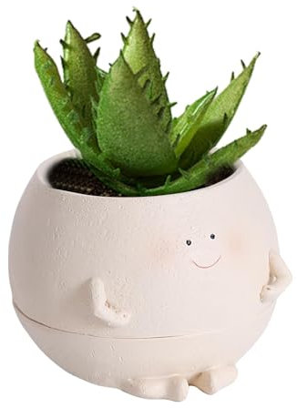 Pots pour plantes grasses, petit pot de cactus en résine avec trou de drainage, joli pot de fleurs rond fendu avec visage souriant pour ascenseurs, jardin, cour, paysage, décoration meilleur cadeau