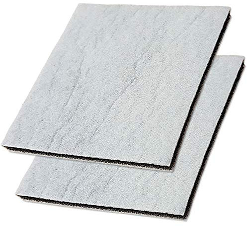 PakTrade Set - 2X Motorschutzfilter geeignet für Philips Performer Pro FC9189, FC9190, FC9191, FC9192, FC9193, FC9194, FC9195, FC9196, FC9197, FC9198, FC9199