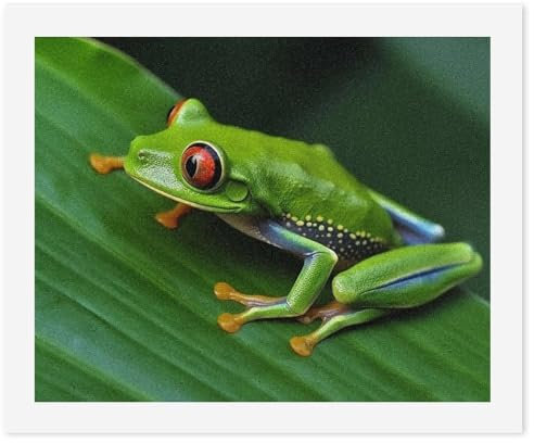 Digitales Gemälde, Motiv: Frosch, grüne Blätter, digitale Malerei, Malen nach Zahlen aus Fotos, digitales Ölgemälde-Set mit Pinseln, Malen nach Zahlen für Anfänger, Wanddekoration für Zuhause