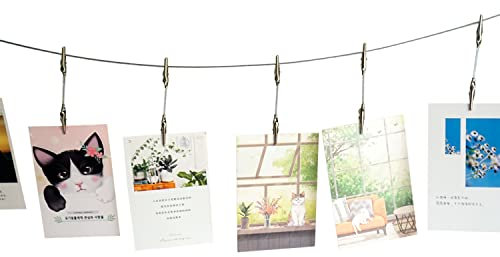 TFu Wall Hanging Photo Display, DIY Picture Photo Frame String with 12 Clips for Hanging Photos Notes and Artworks (Adjustable Alligatory Clip)