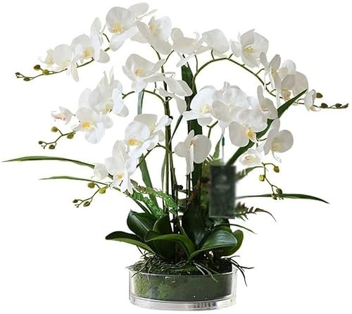AKAZI fiore artificiale con vaso Orchidea Simulazione Fiore con vaso di vetro Pianta di orchidea finta Disposizione in vaso Fiori di seta artificiale Pianta finta Disposizione in vaso Orchidea