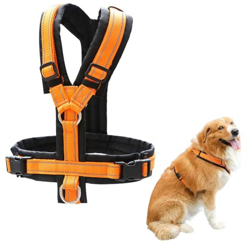 XFSRG Arnés Perro Grande Reflectante Naranja Ajustable Cómodo Accesorios Perros para Paseos Diarios (S)
