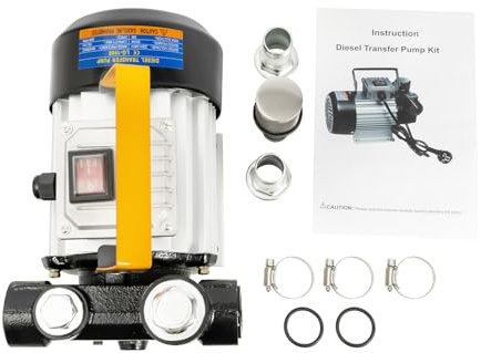 Pompa diesel autoadescante, DSYOGX 20-60 L/min 550 W 220 V pompa olio combustibile pompa di aspirazione olio per gasolio