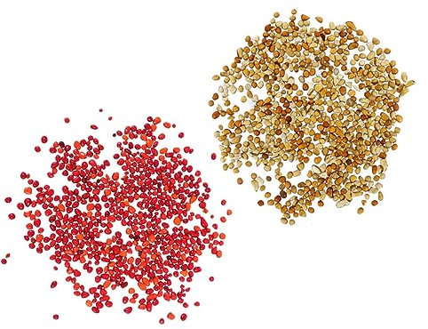 Milisten 2juegos Piedras Decorativas para Terrarios De Diseño Elegante para Mascotas