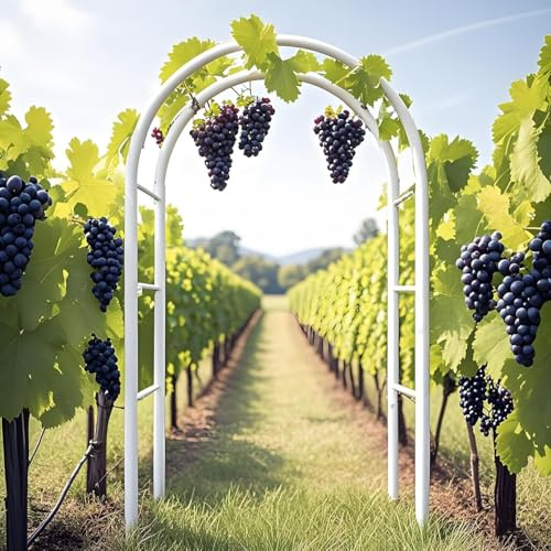 Weißer Stahl-Gartenbogen Rankgitter – 2,4 m Metalldorn für Kletterpflanzen, Weinreben und Gemüse – Pergola für den Innen- und Außenbereich für Hochzeiten, Zeremonien und Partys
