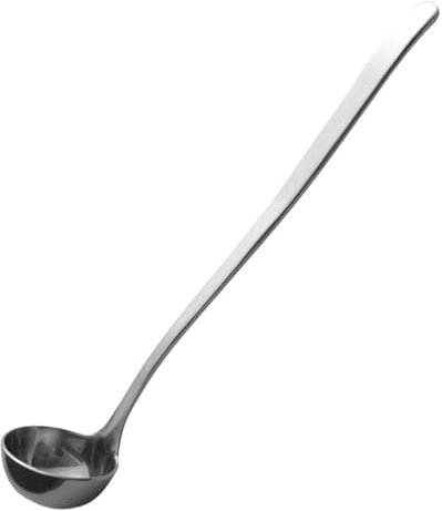 TOPPERFUN Langer Gewürzlöffel Aus Edelstahl Mehrzweck Küchenlöffel Für Gewürze Salz Und Öle Mit Ergonomischem Griff Und Langem Stil