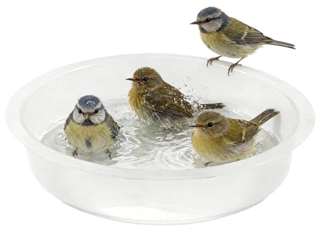 Bandejas para Comederos de Aves de Exterior | Plato de Alimentación,Recambio de Bebedero de Pájaros - para Jardín Terraza Exterior Cubierta Balcón