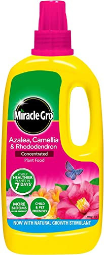 2 X Miracle-Gro Azalea, Camellia and Rhododendron Liquid Plant Food Bottle, 1 L
