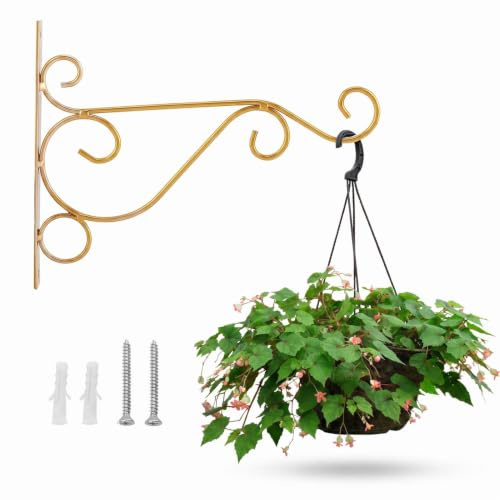 2 Stücke Blumenampel Wandhaken, Metall Eisen Halterung 25cmx21cm Blumenampelhalter Eisen mit Schrauben für Pflanzen, Vogelfütterer, Windspiele, Laternen, Vintage Country Design, Innen Außen