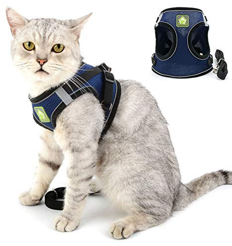 SELMAI Katzengeschirr mit Leine Ausbruchsicher Kitten Reflektierend Hundegeschirr für Welpen Kleine Hunde Chihuahua Geschirr Weiches Netz Brustgurt für Haustiere Gehen Ausbildung Draussen Blau L