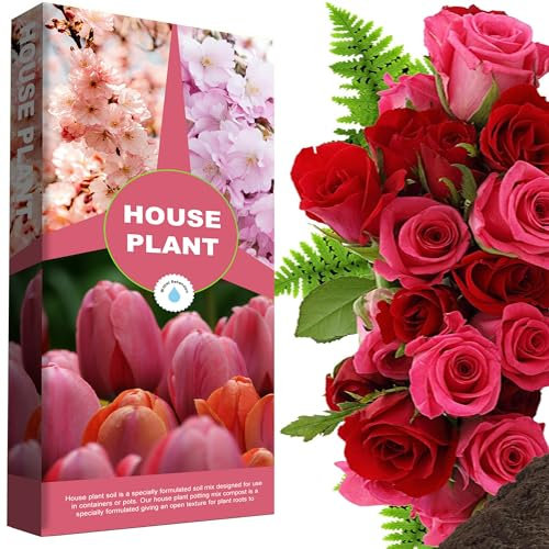House Plant Compost Ideal For Indoor & Outdoor House Plants With Added Nutrients For Healthy Leaves & Plants (20 Litres (2 x 10 Litre Bags))