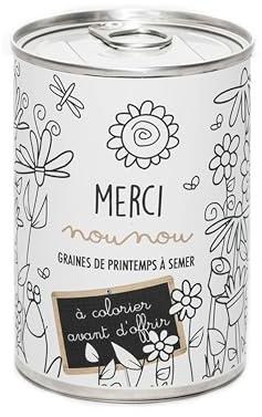 Mauvaises Graines© - Kit de Graines de Fleurs à Semer - Idée Cadeau Original Nounou Femme Prof Amis Famille Anniversaire Collegue Fêtes - Ultra Simple à Utiliser - 100% Fabriqué en France