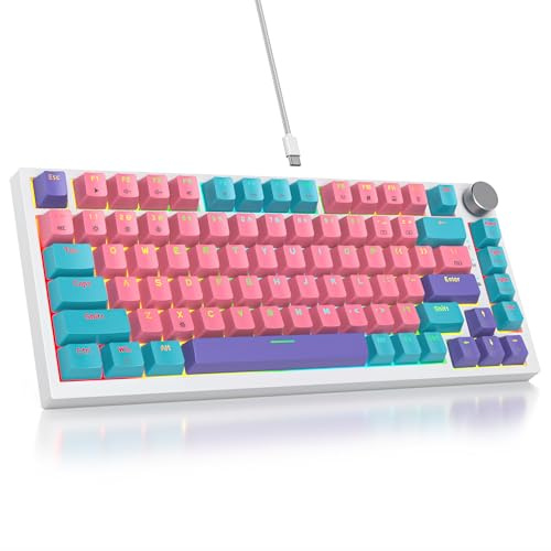 SbocKeeb V400 Custom Gaming Keyboard 75 percent Hot-Swappable, 75% Wired Mechanical RGB Keyboard with Gasket and Sound Absorbing Pads Programmable American QWERTY for Mac/Win V400 Zhi