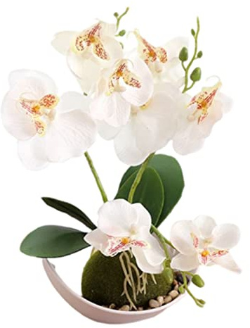 1 Stück Künstliche Lila Orchideen im Topf Grüner Topf-Simulation Schmetterling Orchidee Wohnzimmerdekoration Weiße Blüte 27 cm (weiß)