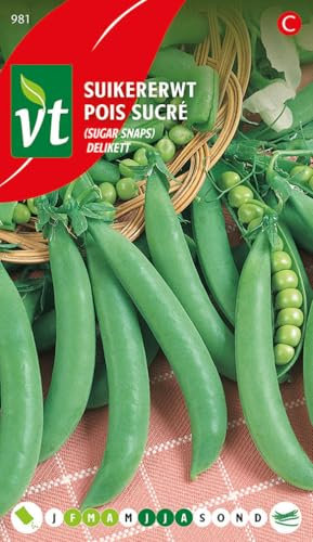 Pois Delikett Graines - Des cosses épaisses et succulentes